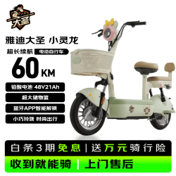 雅迪 大圣 60V23Ah长续航 新国标电动自行车 春辰绿