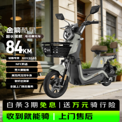 金箭 酷星DQ 60V20AH铅酸电池 灰色 电动摩托车