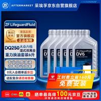 采埃孚 DV6双离合自动变速箱油滤芯套装适用于DSG6档迈腾GTI/CC新帕萨特尚酷/夏朗奥迪Q3/A3/明锐RS 6L