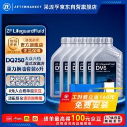 采埃孚 DV6双离合自动变速箱油滤芯套装适用于DSG6档迈腾GTI/CC新帕萨特尚酷/夏朗奥迪Q3/A3/明锐RS 6L