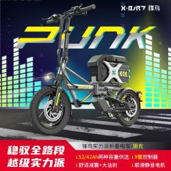 锋鸟PUNK折叠超轻长续航便携迷你小型电瓶滴专用代驾电动自行车 酷黑-PRO-常规 42AH