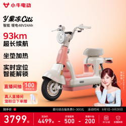 小牛电动 Y果冻Citi 电动车 48V24Ah锂电池