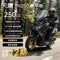 天鹰 TX250F 燃油踏板摩托车 哑黑