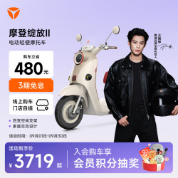 雅迪 长续航 电动摩托车