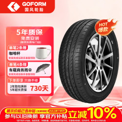 国风 GOFORM 汽车轮胎 255/45R19  GH18 104W ZR 适配Model Y/飞凡F7