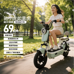驰小虎 长续航 电动自行车 48V20Ah电池