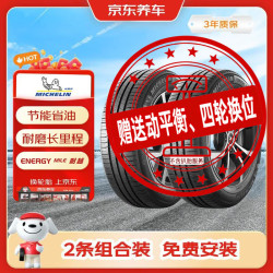 米其林 汽车轮胎2条 205/65R16 95H 耐越 ENERGY MILE 适配天籁京东养车