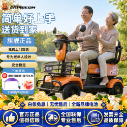 飞鸽四轮老年电动车老人代步车电动车四轮最新款高端景区观光车 600W48V24AH黑金约85里