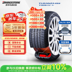 普利司通 新能源轮胎 255/45R19 104W T005 EV 静音棉适配特斯拉ModelY