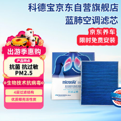 科德宝 蓝肺空调滤清器滤芯BL970适用CT5迈锐宝XL君越威朗探界者E5微蓝6