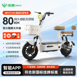 绿源 X源行者新国标电动自行车 雅灰 48V21A 超威电池 70km续航