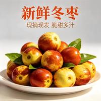 城南堡花 陕西大荔冬枣 甄选大果 2斤