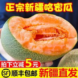 泉果元 正宗哈密瓜脆甜9斤当季新鲜水果甜一整箱包邮现摘网纹瓜西州蜜