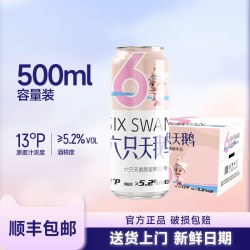 六只天鹅 小麦精酿白啤酒 10L桶装