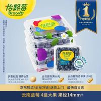 Driscoll's 云南蓝莓14mm+ 4盒装 约125g/盒 新鲜水果