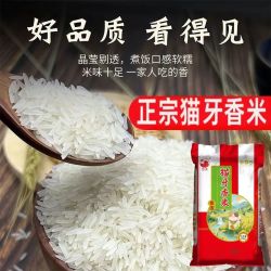 粮心妹 现磨农家大米10斤不抛光不打蜡猫牙长粒香米丝苗米猫牙米大米 10斤爆款猫牙