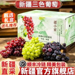 天鲜美逅 新疆葡萄吐鲁番三色葡萄中秋礼盒无核白无核籽玻璃翠整箱顺丰冷链