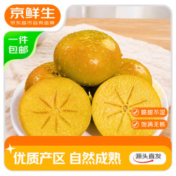 京鲜生 阳丰脆柿甜柿新鲜柿子 净重4.5-5斤大果 单果135g起水果源头直发 阳丰脆柿5斤大果 单果135g+