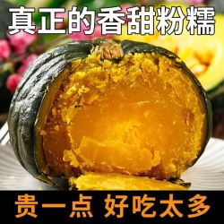 正宗贝贝南瓜新鲜农家自种婴儿辅食现摘板栗味老南瓜小南瓜包邮