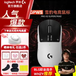 罗技 GPW5 雪豹 无线鼠标