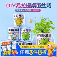 touch fish 罐装小盆栽桌面种植易拉罐头植物小学生科学实验礼物奖品 轻度社恐（含羞草）