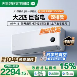 小米 MIJIA 米家 巨省电系列 50GW-PG20/N1A1 新一级能效 壁挂式空调 2匹