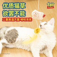 GiGwi 火腿摇金币逗猫棒