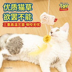 GiGwi 火腿摇金币逗猫棒