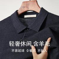 赛兔 春秋高档男士羊毛衫男针织衫打底毛衣男休闲polo衫