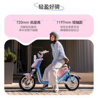 小牛电动 U1 one 电动自行车 48V24Ah锂电