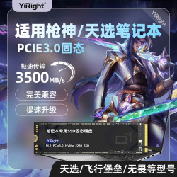 YiRight SSD适用于华硕笔记本高速pcie3.0专用固态硬盘飞行堡垒/顽石/天选等固态硬盘m.2接口nvme协议 YiRight笔记本固态硬盘-3.0