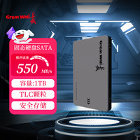 长城 SATA3.0固态硬盘TLC颗粒2.5寸台式机笔记本电脑SSD 长城GW560系列 固态硬盘GW560
