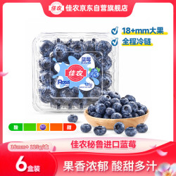 佳农 秘鲁蓝莓酸甜大果18mm+ 6盒装 125g/盒 新鲜水果 源头直发