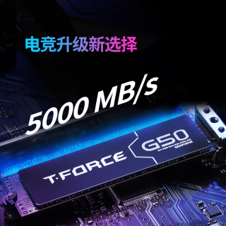 十铨 科技G50 SSD固态硬盘1T 2T M.2 NVMe PCIe4.0 2280 台式笔记本ps5 读速5000MB/s石墨烯散热片 锁定主控 512GB PCIe4.0/5000MB/s石墨烯