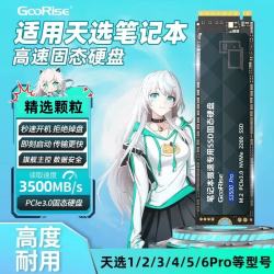 朝上 SSD适用于华硕笔记本ssd固态硬盘1T专用天选3/2/4电脑PCIE3.0内存扩展M.2 GooRise笔记本固态硬盘-3.0