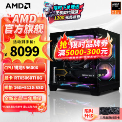 AMD 电竞设计 台式电脑 5060TI显卡  RTX 5060TI R5-9600X