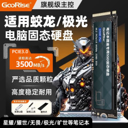 朝上 SSD适用于机械革命笔记本固态硬盘1t pcie3.0蛟龙16K/旷世16/极光pro等通用m.2 GooRise笔记本固态硬盘-3.0