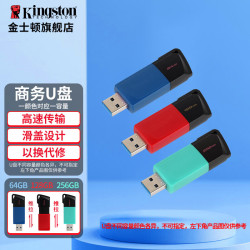 金士顿 DTXM高速车载哨兵行车记录仪传输U盘 USB3.2/Gen 1 学生送老师商务电脑办公优盘大学生专用 DTXM标品 64GB