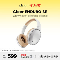 Cleer ENDURO SE 主动混合降噪 云母灰 无线蓝牙耳机