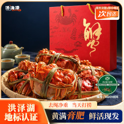 添渔港 洪泽湖大闸蟹中秋节送礼去绳足重 现货特大公母蟹 2.2-2.5两 4对8只