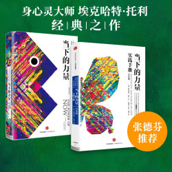 《当下的力量》（白金版）套装2册） 