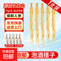 长白山 保鲜人参15g*1支