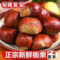 移动端：正宗新鲜生现摘丹东板栗5斤栗子锥去毛球油栗仁蔬罗田