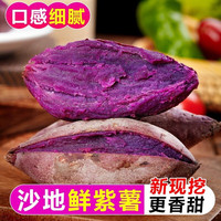 移动端：沙地紫薯红薯当季新鲜蔬菜现挖蜜薯粉糯香甜农家自种紫罗兰紫心薯