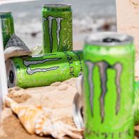 Monster Energy 魔爪 能量运动饮料 绿色奇异果  330ml*12罐装 整箱