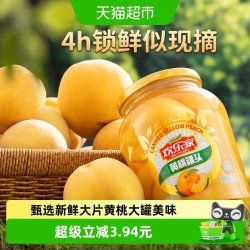 欢乐家 黄桃罐头 900g