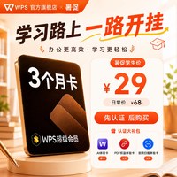 金山软件 超级会员3个月官方正版PPT排版论文简历