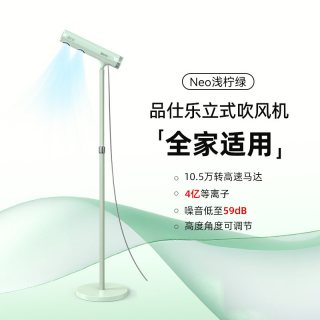 pinshile 品仕乐 高速立式吹风机家用速干护发负离子懒人儿童免手持电吹风筒