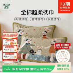 然牌 A类抗菌100%纯棉枕巾 防油防汗加大加厚枕头巾 一对装 50*80cm