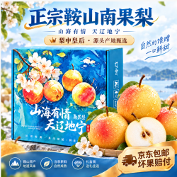 鞍山南果梨 南果梨礼盒南国梨香水梨鞍山特产酒香四溢软糯香甜源头直发 4.5斤黄梨单果50g+